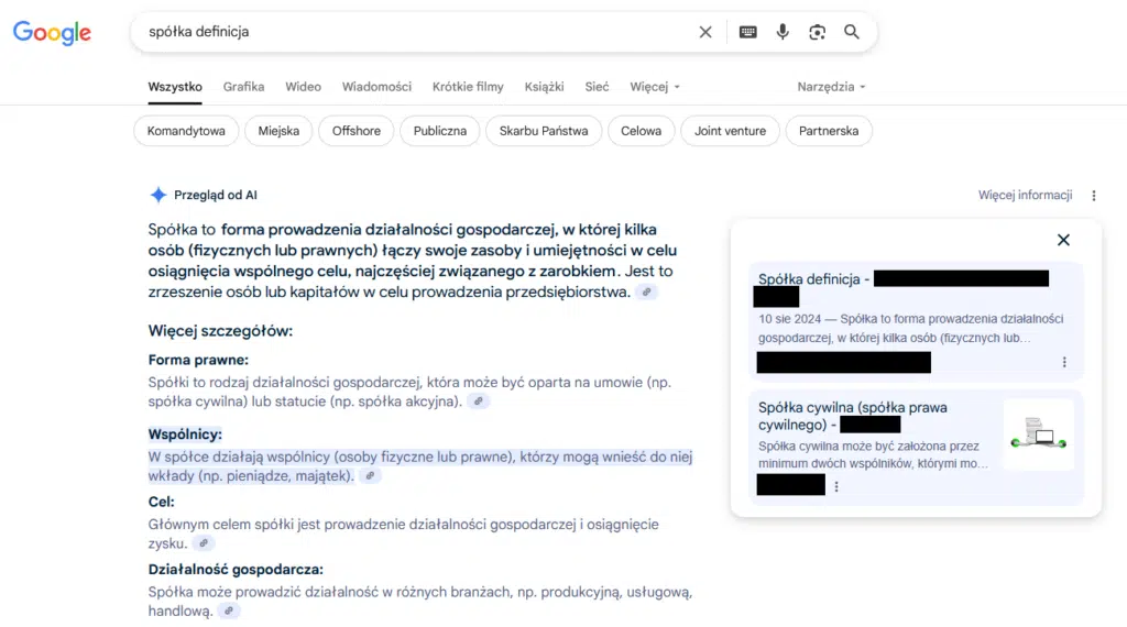 spółka definicja widoczność w Google AI Overviews